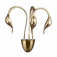 бра lightstar cigno collo 751632 в Братске