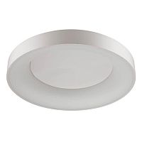 потолочный светодиодный светильник odeon light sole 4062/80cl в Братске