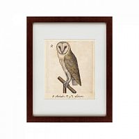 картина: one owl, 1560 в Братске