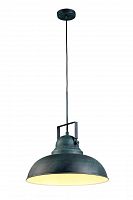 подвесной светильник arte lamp martin a5213sp-1bg в Братске