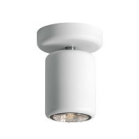 потолочный светильник d84e0501 от fabbian в Братске