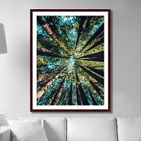 картина: deep forest в Братске