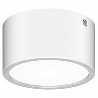 уличный светодиодный светильник lightstar zolla 380164 в Братске