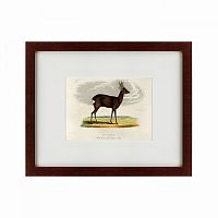 картина: a roebuck, 1830 в Братске