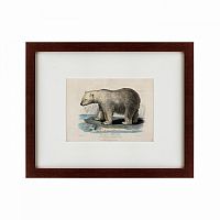 картина: white polar bear on an ice, 1830 в Братске