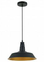 подвесной светильник odeon light kasl 3378/1 в Братске