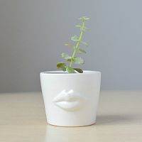набор для выращивания eco мини-кашпо «губы» в Братске