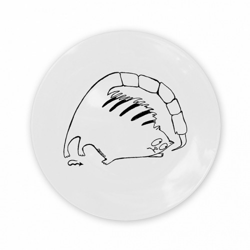тарелка кот-скорпион в Братске