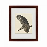 картина: great gray owl, 1834 в Братске