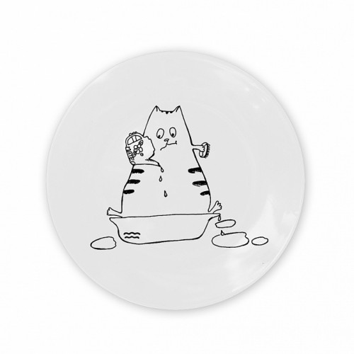тарелка кот-водолей в Братске