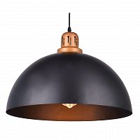 подвесной светильник arte lamp eurica a4249sp-1bk в Братске