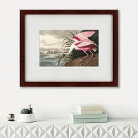 картина: roseate spoonbill, 1827 в Братске