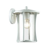 уличный настенный светильник odeon light galen 4173/1w в Братске