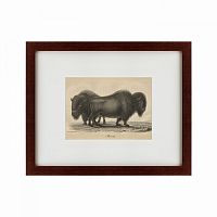 картина: bison, 1828 в Братске