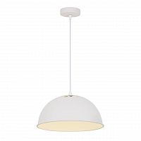 подвесной светильник arte lamp buratto a8173sp-1wh в Братске