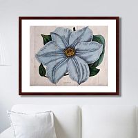 картина: exotic plants of the world №13, 1815г. в Братске