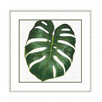 постер monstera зеленый в Братске