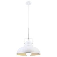 подвесной светильник arte lamp martin a5213sp-1wg в Братске