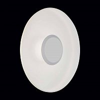 уличный настенный светодиодный светильник st luce sl925.501.01 в Братске