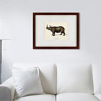 картина: rhinoceros ancienne gravure, 1849 в Братске