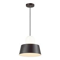 подвесной светильник odeon light alur 4141/1 в Братске