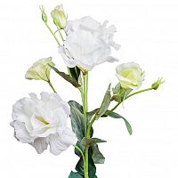 лизиантус белый 77 см (12) в Братске