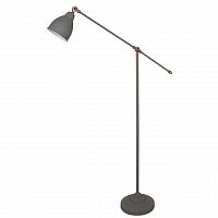 торшер arte lamp braccio a2054pn-1gy в Братске