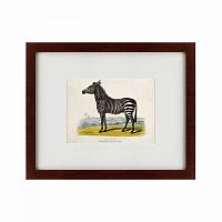 картина: a zebra, 1830 в Братске