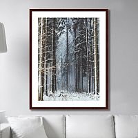 картина: forest, upper austria в Братске