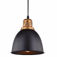 подвесной светильник arte lamp eurica a4245sp-1bk в Братске