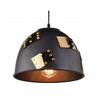 подвесной светильник arte lamp eurica a6023sp-1bk в Братске