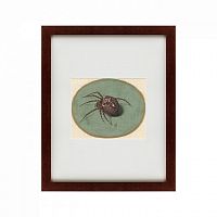 картина: spider, 1690 в Братске