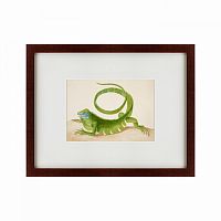 картина: green iguana, 1701 в Братске