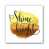 постер shine а3 в Братске
