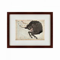 картина: signs of zodiac taurus, 1825 в Братске