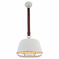 подвесной светильник lussole loft grlsp-8043 в Братске