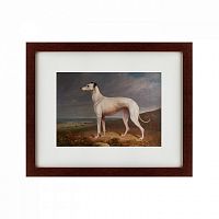 картина: portrait of a greyhound, 1744 в Братске