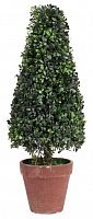 искусственное дерево в горшке topiary в Братске