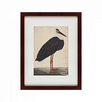 картина: black stork in a landscape, индия, 1780 в Братске