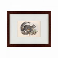картина: the squirrel, 1879 в Братске