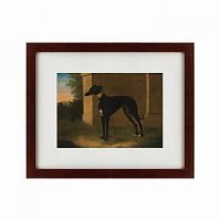 картина: portrait of a greyhound called pompon, 1746 в Братске