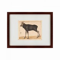 картина: moose, 1560 в Братске
