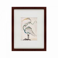 картина: heron encircled by a snake, 1700 в Братске
