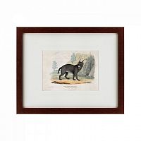 картина: a caracal or lynx, 1830 в Братске