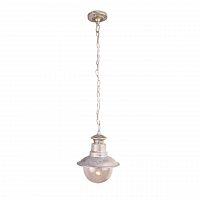 уличный подвесной светильник arte lamp amsterdam a1523so-1wg в Братске